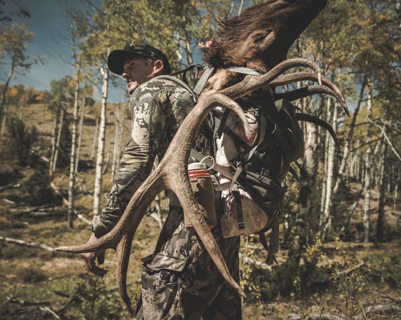 Fred Bohm | Colorado Bowhunters Association | Bowhunting in Colorado